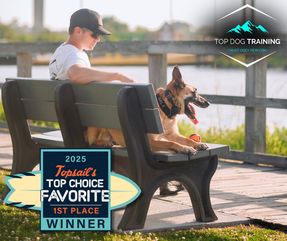 Ryan with a dog on a waterfront bench, with TOP Dog Training branding and the Topsail award badge