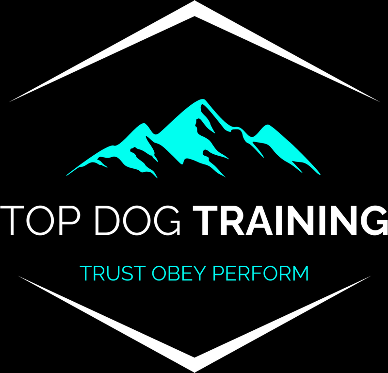 TOP Dog Training logo