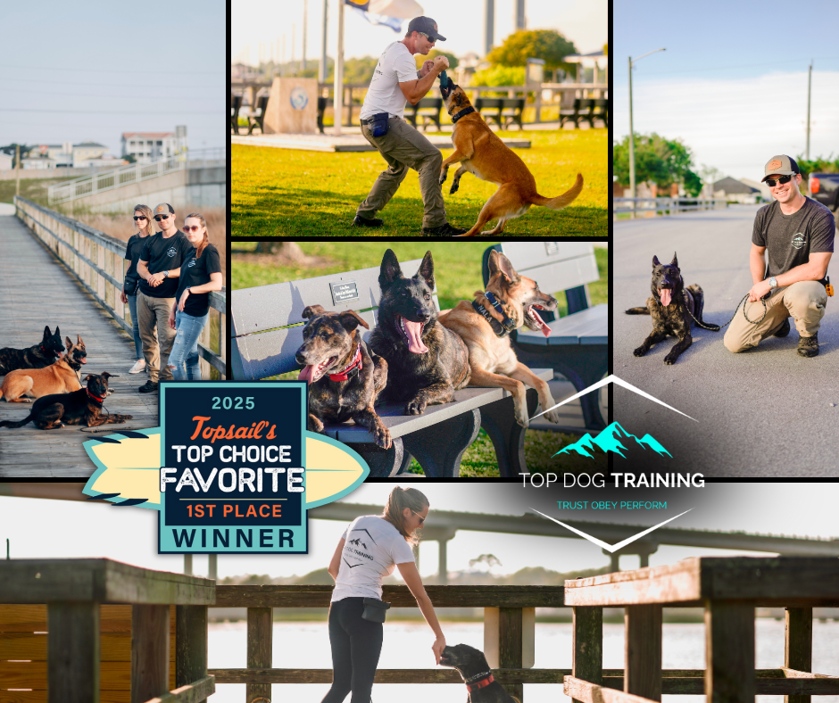 TOP Dog Training collage of trainers and dogs practicing outdoors, with the 2025 Topsail first-place award badge